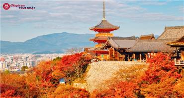 [HCM] Tour Nhật Bản 6N5Đ: Hành Trình Vàng Mùa Thu